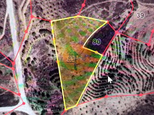 Land for sale in Azinhal