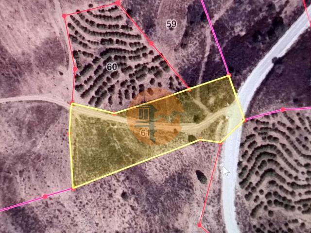 Land for sale in Azinhal