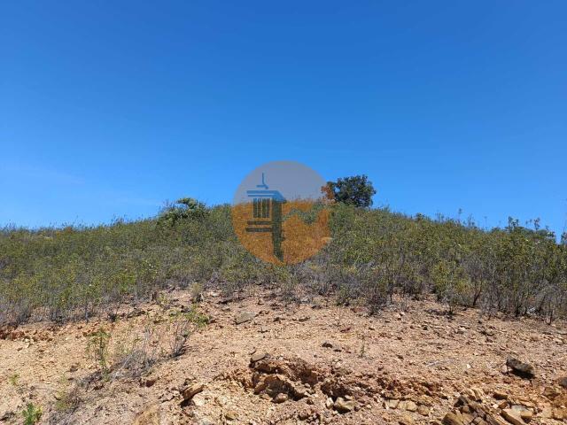 Land for sale in Azinhal