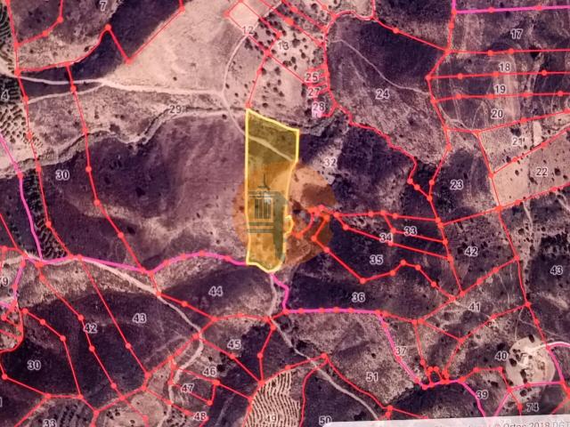 Land for sale in Azinhal
