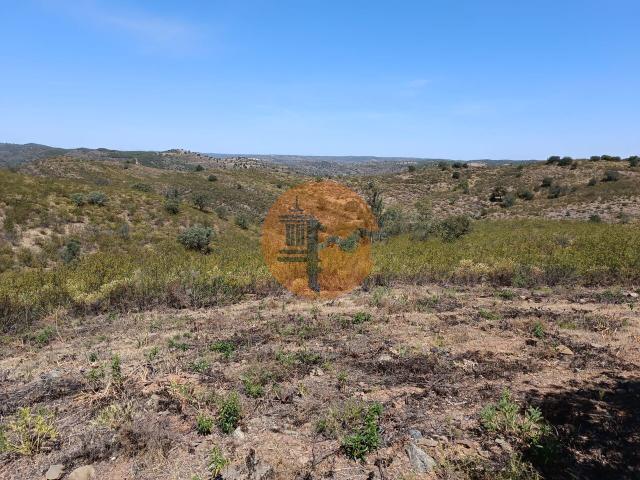 Land for sale in Odeleite