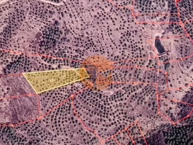 Land for sale in Odeleite