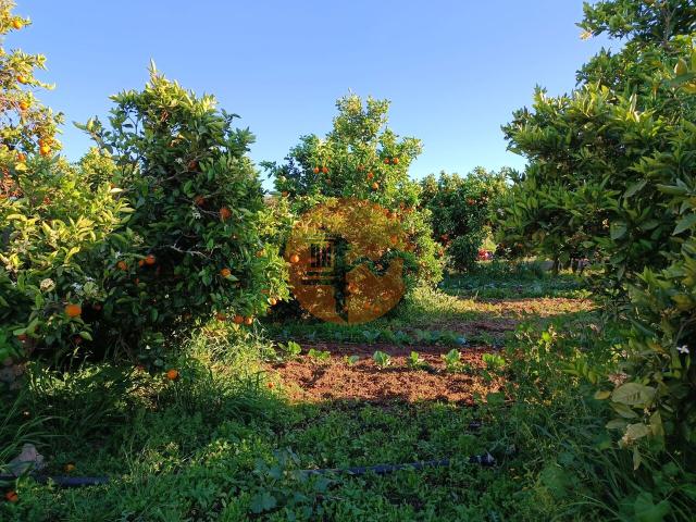 Land for sale in Castro Marim