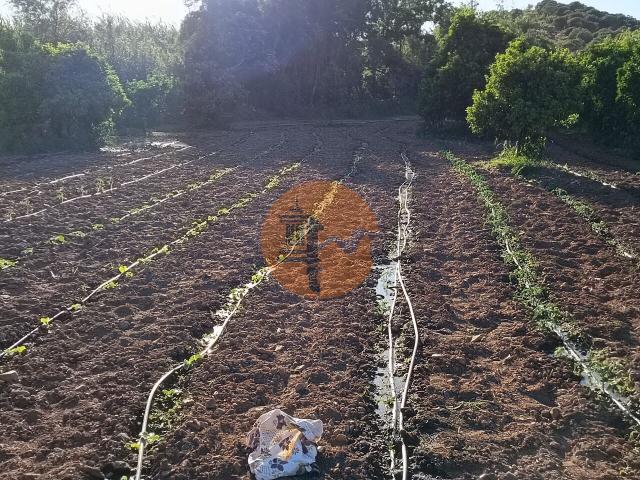 Land for sale in Castro Marim