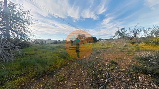 Land for sale in Pechão