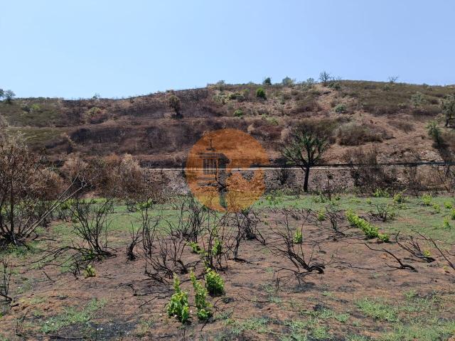 Land for sale in Azinhal