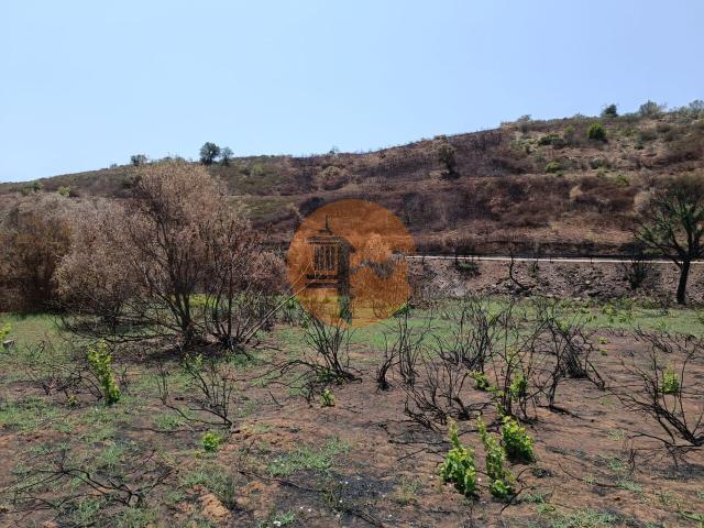 Land for sale in Azinhal