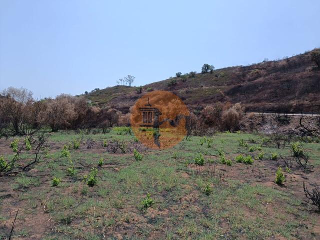 Land for sale in Azinhal