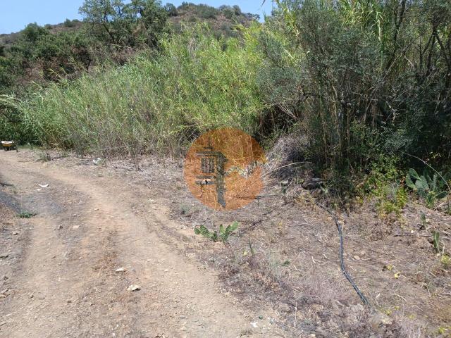 Land for sale in Azinhal