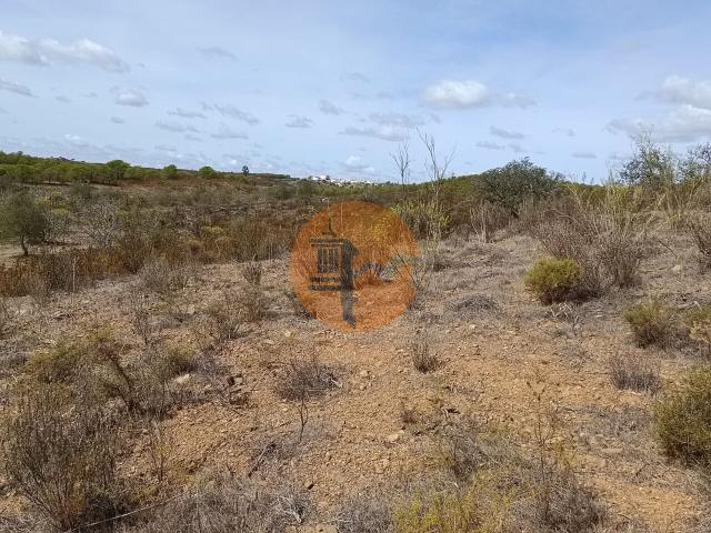 Land for sale in Azinhal