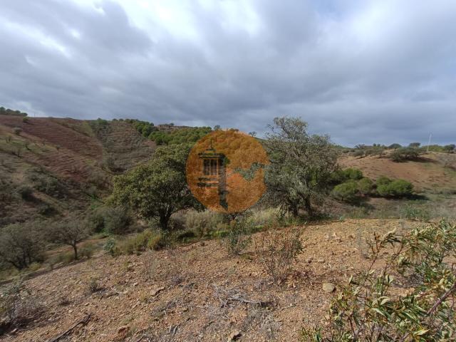 Land for sale in Azinhal