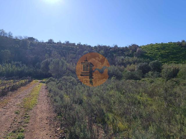 Land for sale in Castro Marim