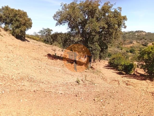 Land for sale in Santa Catarina da Fonte do Bispo