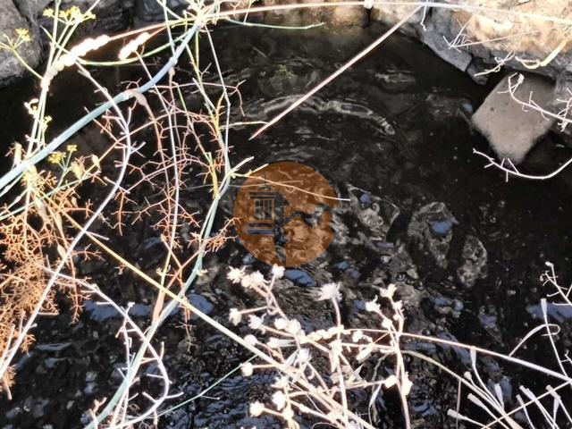 Land for sale in Azinhal