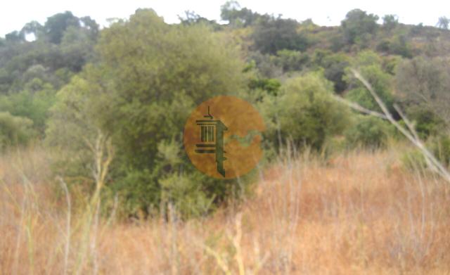 Land for sale in Santa Catarina da Fonte do Bispo