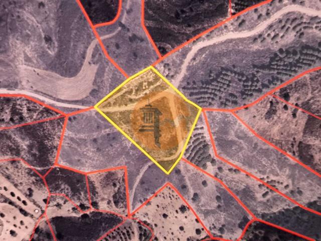 Land for sale in Azinhal