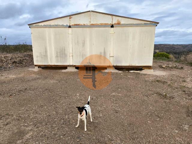 Land for sale in Azinhal