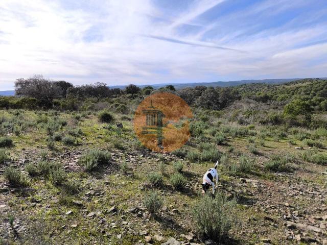 Land for sale in Odeleite