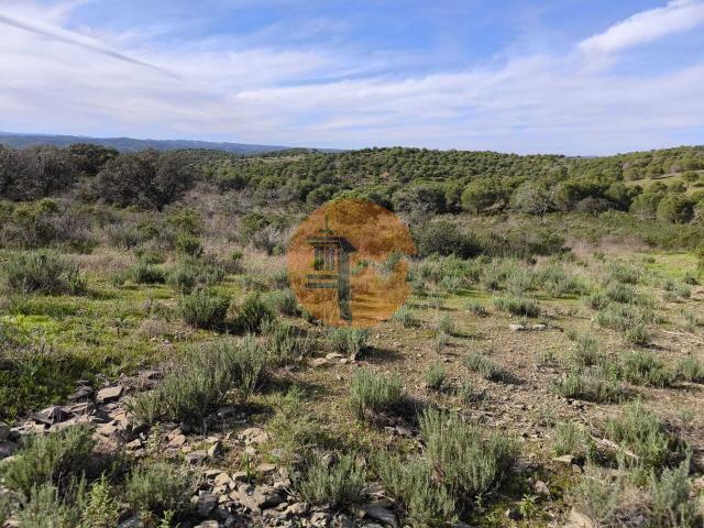 Land for sale in Odeleite
