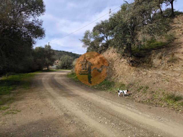 Land for sale in Odeleite