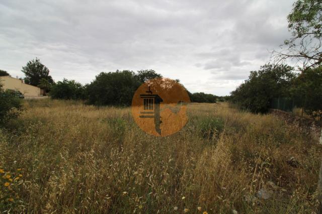 Land for sale in Ferreiras