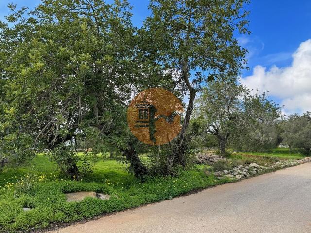 Land for sale in São Brás de Alportel