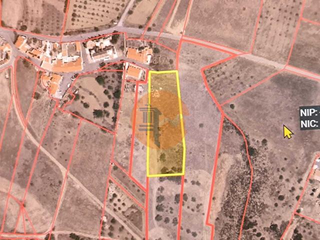 Land for sale in Azinhal