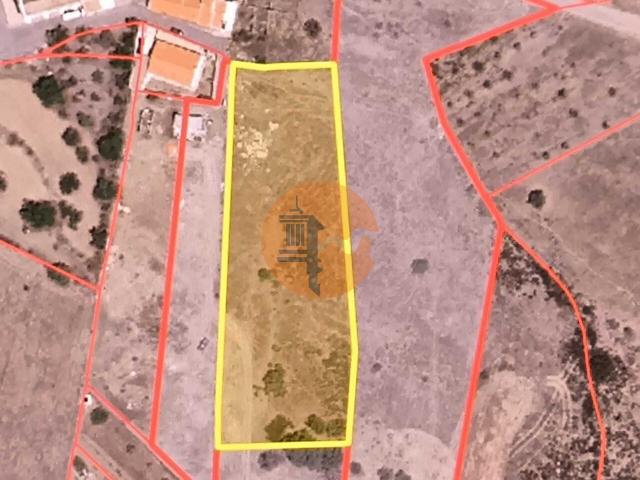 Land for sale in Azinhal