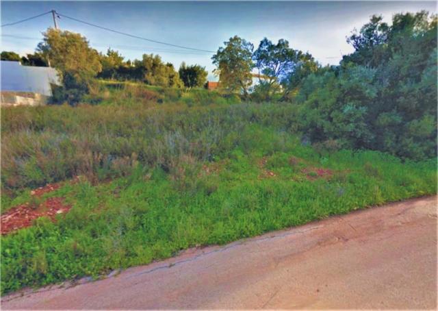 Land for sale in Faro