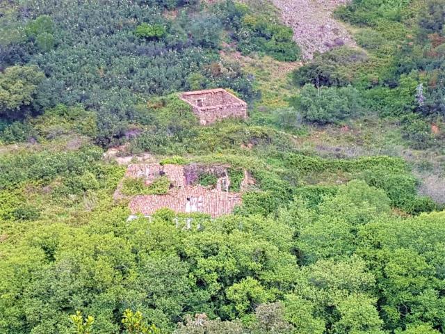 Land for sale in Faro