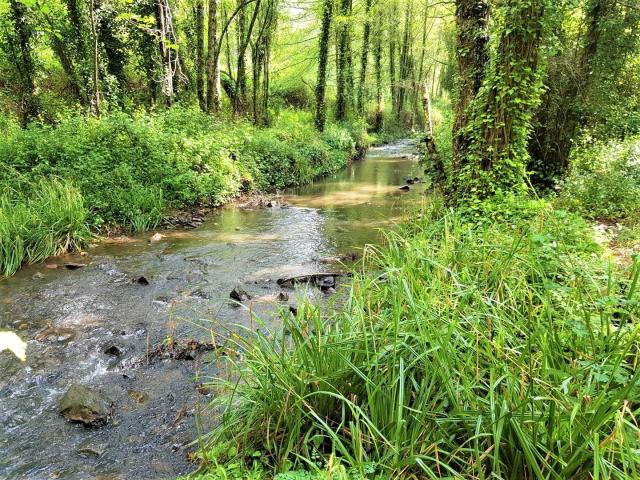 Land for sale in Faro