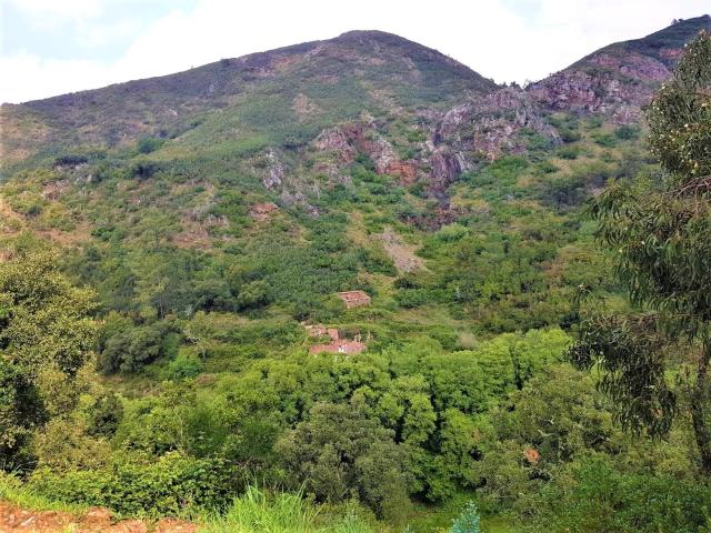 Land for sale in Faro
