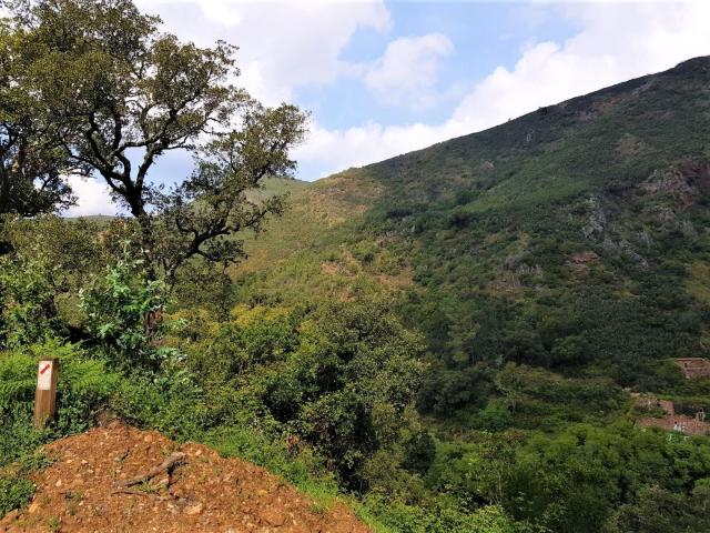 Land for sale in Faro