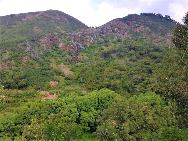 Land for sale in Faro