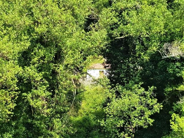 Land for sale in Faro