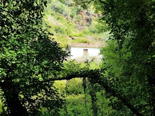 Land for sale in Faro