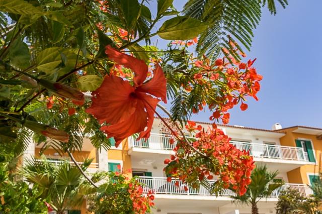3 bedroom House in Sal Municipality