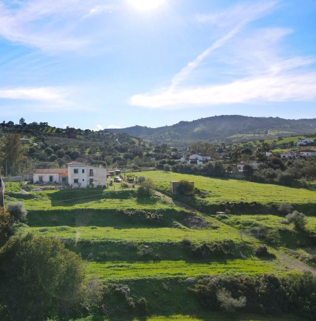 5 bedroom finca in coin