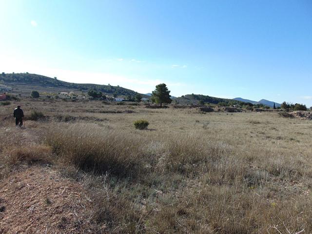 Land for sale in Hondon de las Nieves