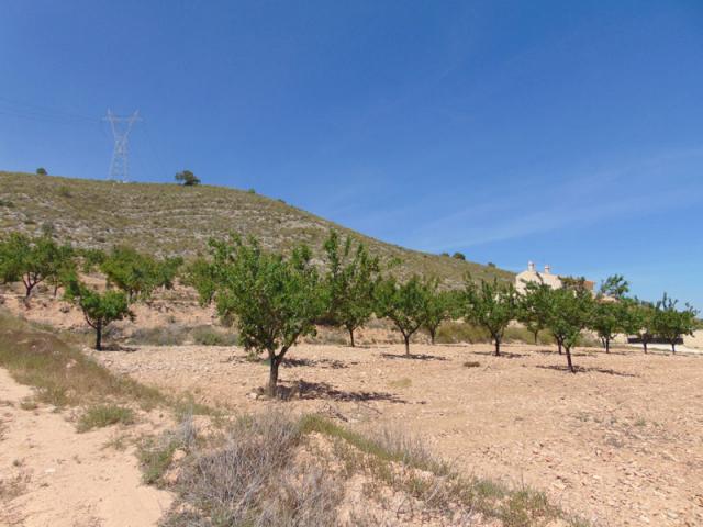 Land for sale in Hondon de las Nieves
