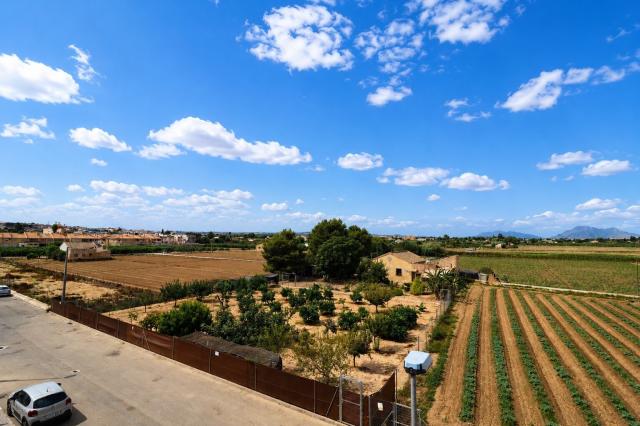 2 bedroom Apartment in Rojales