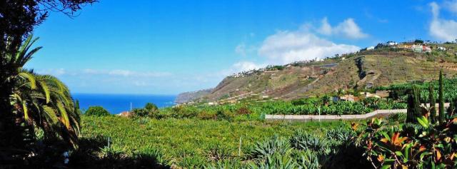 5 bedroom Villa in El Rincon