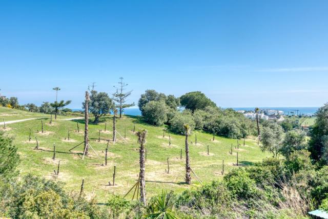 2 bedroom House - Townhouse in La Duquesa